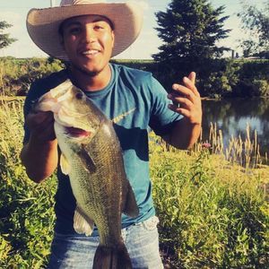 Meet your Posher, Andre